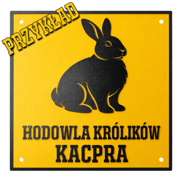KRÓL PRZYKŁAD.png