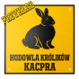 KRÓL PRZYKŁAD.png