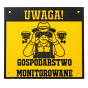 gm2.png
